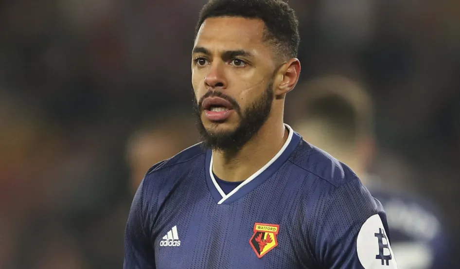 A Birthday Celebration Under the Microscope